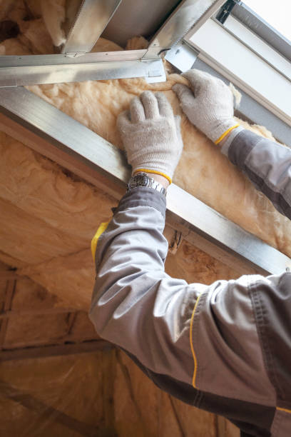 Best Insulation for New Construction  in West Hills, PA